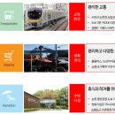 논현골드