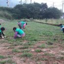 상동체육공원 이미지