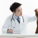 아는수의사 동물병원 이미지