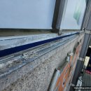 삼호프라자 이미지