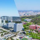 D&P메디컬 쿠키뉴스