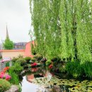 가장초교병설 이미지