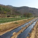 뉴한길공인중개사사무소 이미지