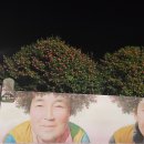 이섬주유소 브런치