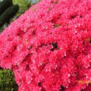 창원지방법원 거창지원 이미지