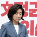 국제법률전문가협회