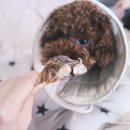 멍이 수라간 이미지