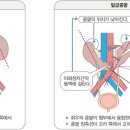 소문난내과의원 이미지