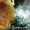 별미칼국수 이미지