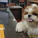 멍 때리지마 이미지