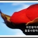 금둔사(제79호)