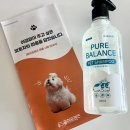 퓨어펫(pure pet) 이미지