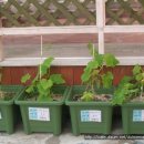 환희어린이집 이미지