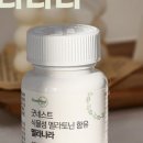 구디케어 이미지