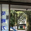 삼보리본