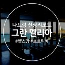 호텔보보(HOTEL VOVO) | 그란 멜리아 헬스장 액티비티 나트랑 신상 숙소 풀빌라 리조트 내돈내산