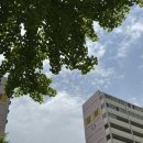 여의도 한강공원 텐트 피크닉 후기｜엽떡, 허니콤보, 한강라면까지