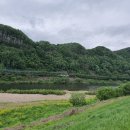 순농장 티스토리