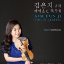 바이올린 이미지