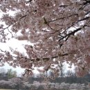 인천전문대학 이미지