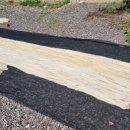 감물시골밥상 이미지