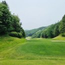 뉴서울CC 예술코스 라운딩 후기, 티샷 방향이 중요한 골프장