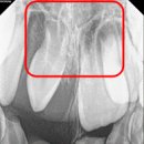 아주웰치과의원 이미지
