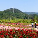 수목원레저 이미지