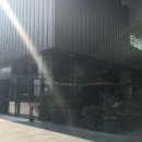 코코애견클럽 이미지