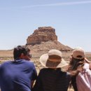 Pet's Station 이미지