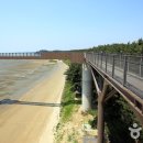 장항약국 이미지