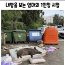 내방 돼지우리인데 엄마온대 어떡해.?.↓ 이미지