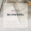 바이스클린