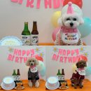 놀러오개 불로점 이미지