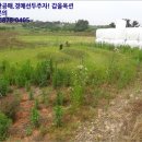 금계태양광발전소 이미지