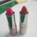 바닐라 퍼피 이미지