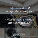 화이트크린 이미지