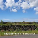 신제일공인중개사사무소 이미지