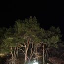 제천: 레스트리 리솜 S30 예약, 맛집, 놀거리, 해브나인스파