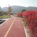 삽교천자전거길 이미지