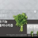 참돌식품 네이버블로그
