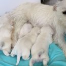 은정농장 이미지