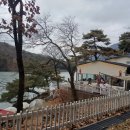 얼리빈스 | 포천 산정호수 카페 얼리빈스 후기｜물멍하기 좋은 호수뷰 카페