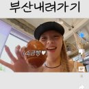머즐스 이미지