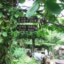 하이디하우스 이미지