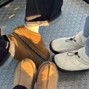 아침에 새소리 이미지