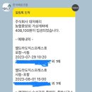 고궁펜션민박 | 여자 둘이 7월 8월 여름 휴가 울릉도 여행 제 1탄