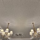 이정훈 강아지 | 작고 건강한 말티즈 분양 후기 ♥ 믿음직한 하남강아지분양 [이정훈강아지 하남본점]