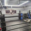 마블복싱스퀘어 이미지