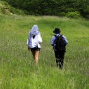 동막골목장 이미지